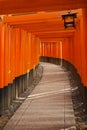 Torii gates of the Fushimi Inari Shrine in Kyoto, Japan Royalty Free Stock Photo